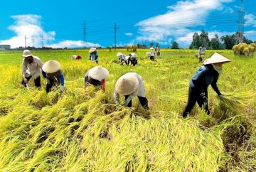 Tiêu đề hình ảnh